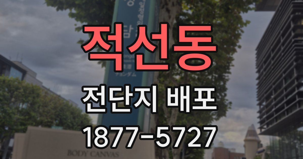 적선동 전단지 배포