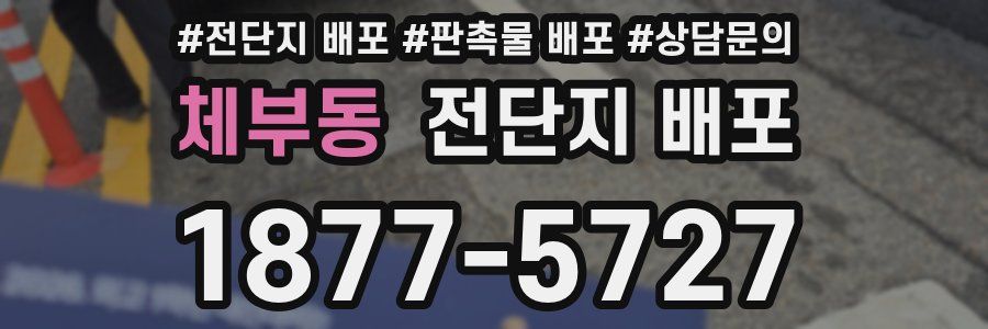 체부동 전단지 배포