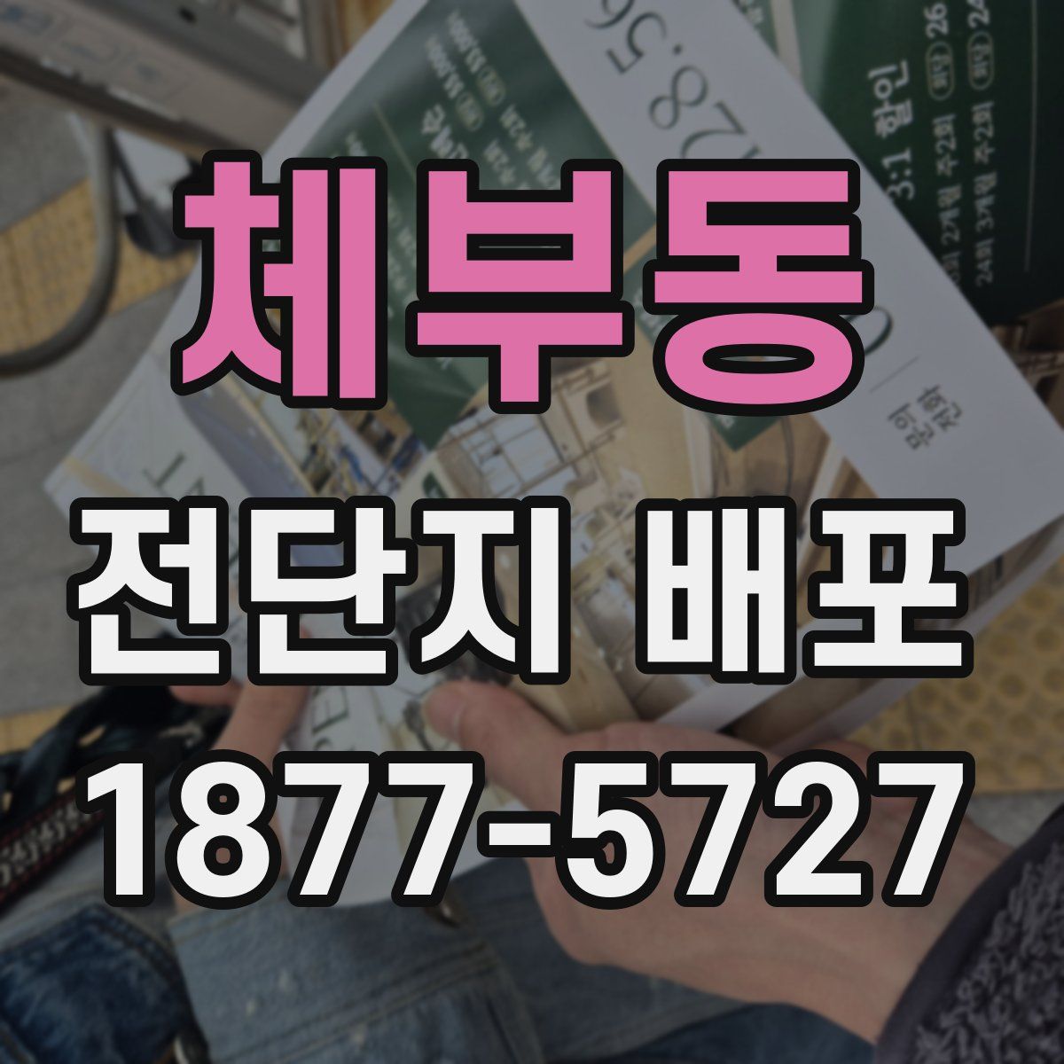 체부동 전단지 배포