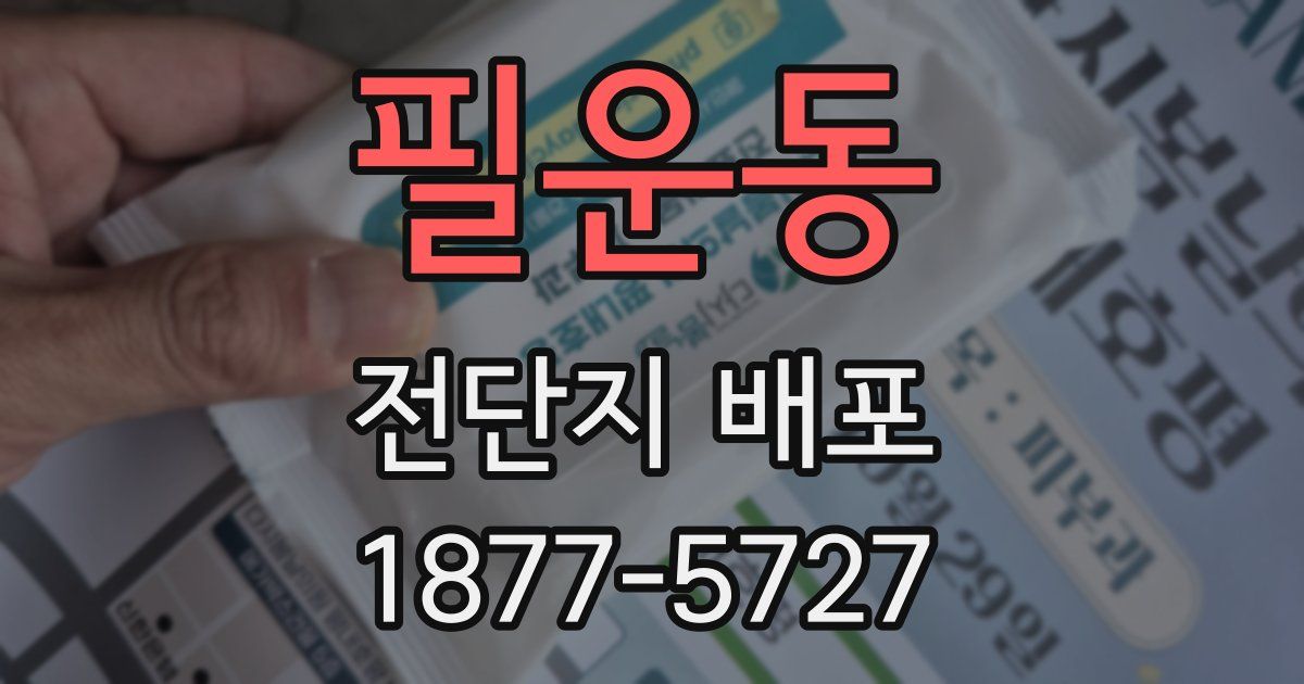 필운동 전단지 배포