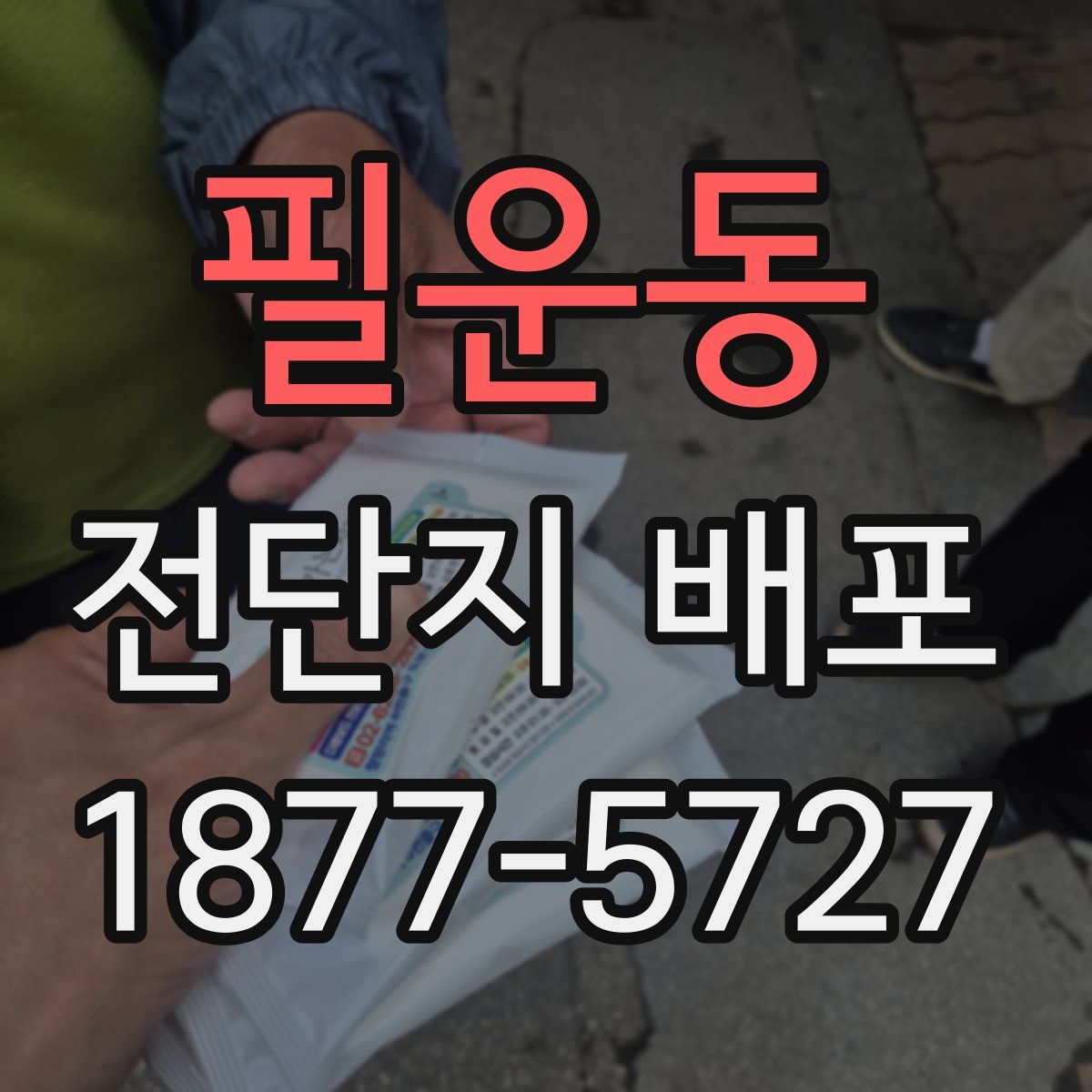 필운동 전단지 배포