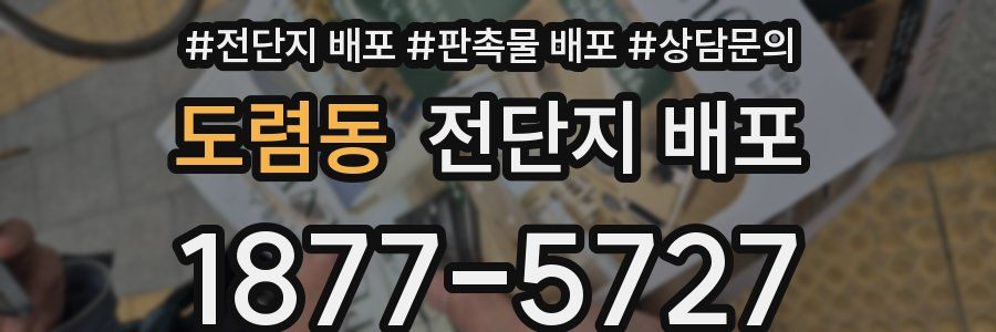 도렴동 전단지 배포