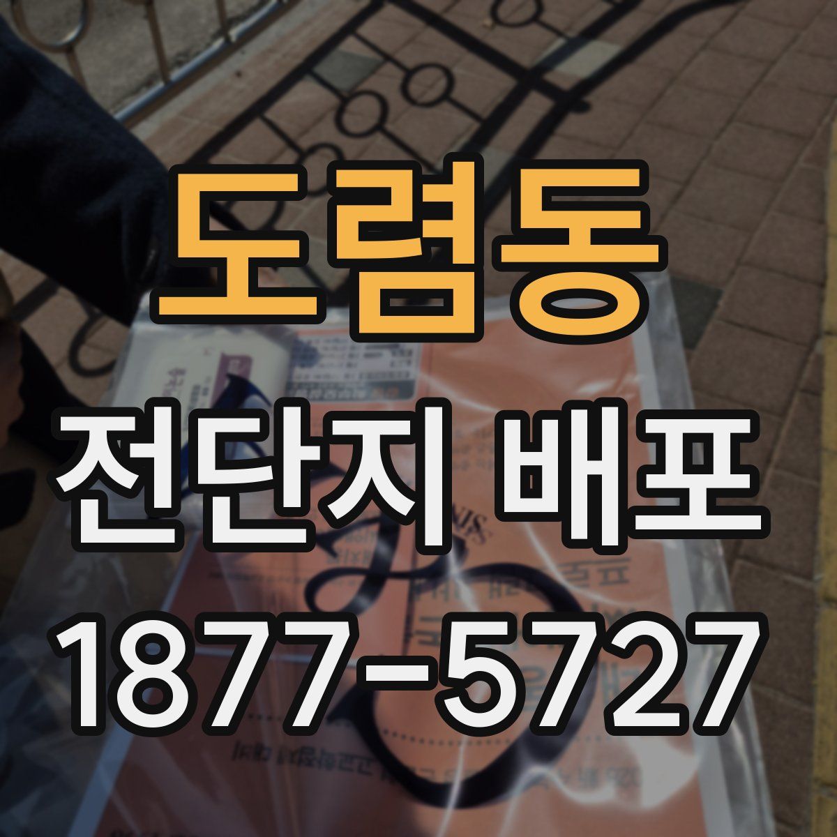 도렴동 전단지 배포