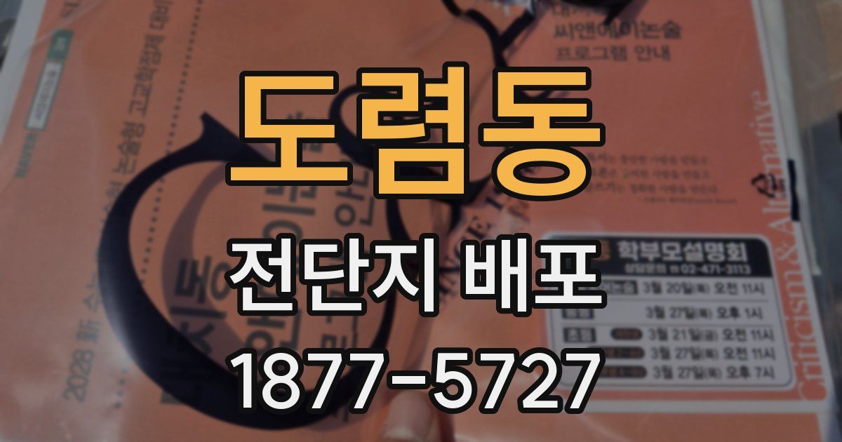 도렴동 전단지 배포