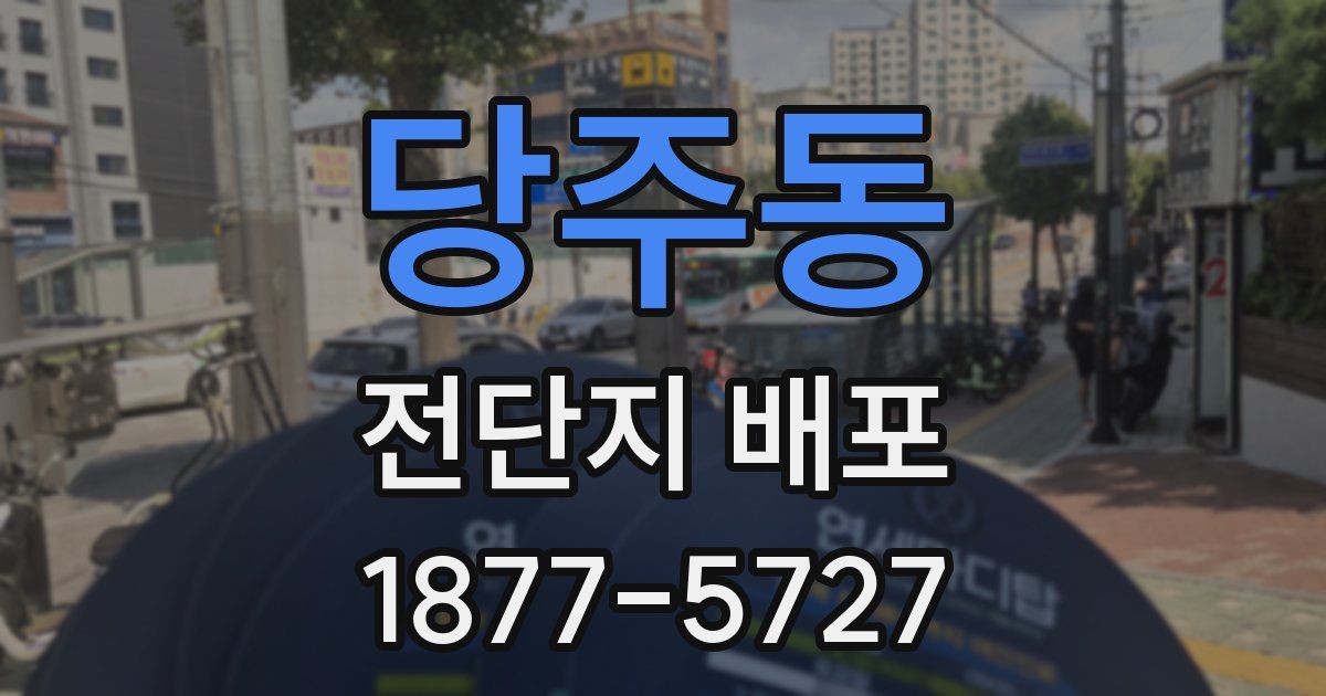 당주동 전단지 배포