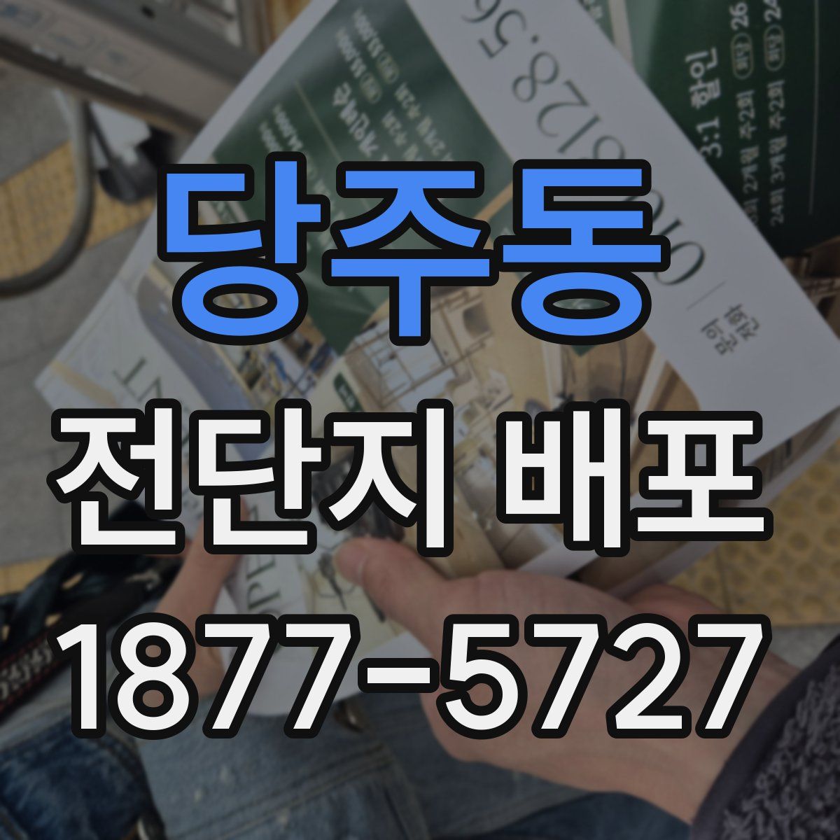 당주동 전단지 배포