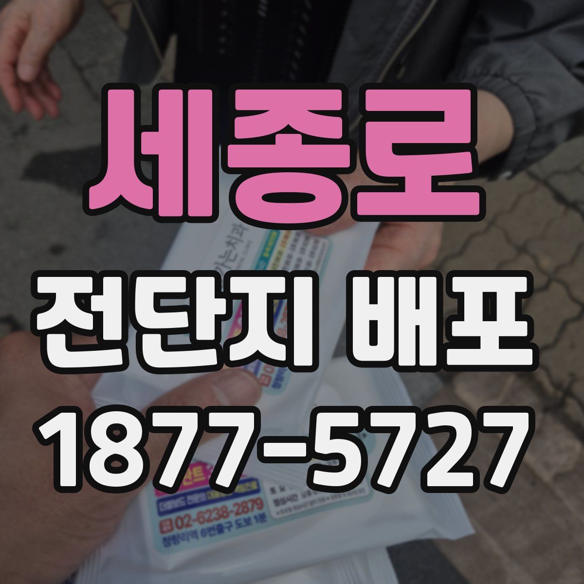 세종로 전단지 배포