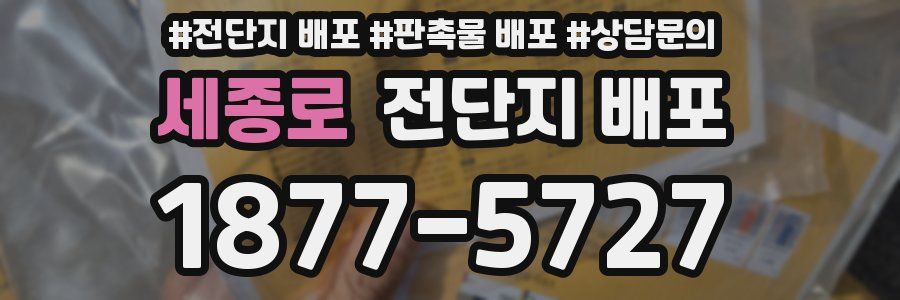 세종로 전단지 배포