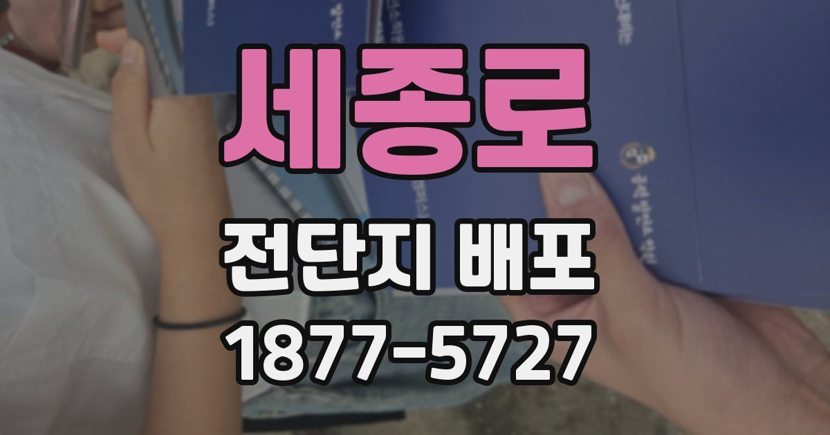 세종로 전단지 배포