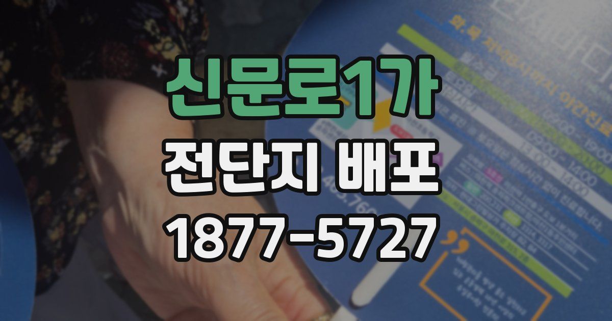 신문로1가 전단지 배포