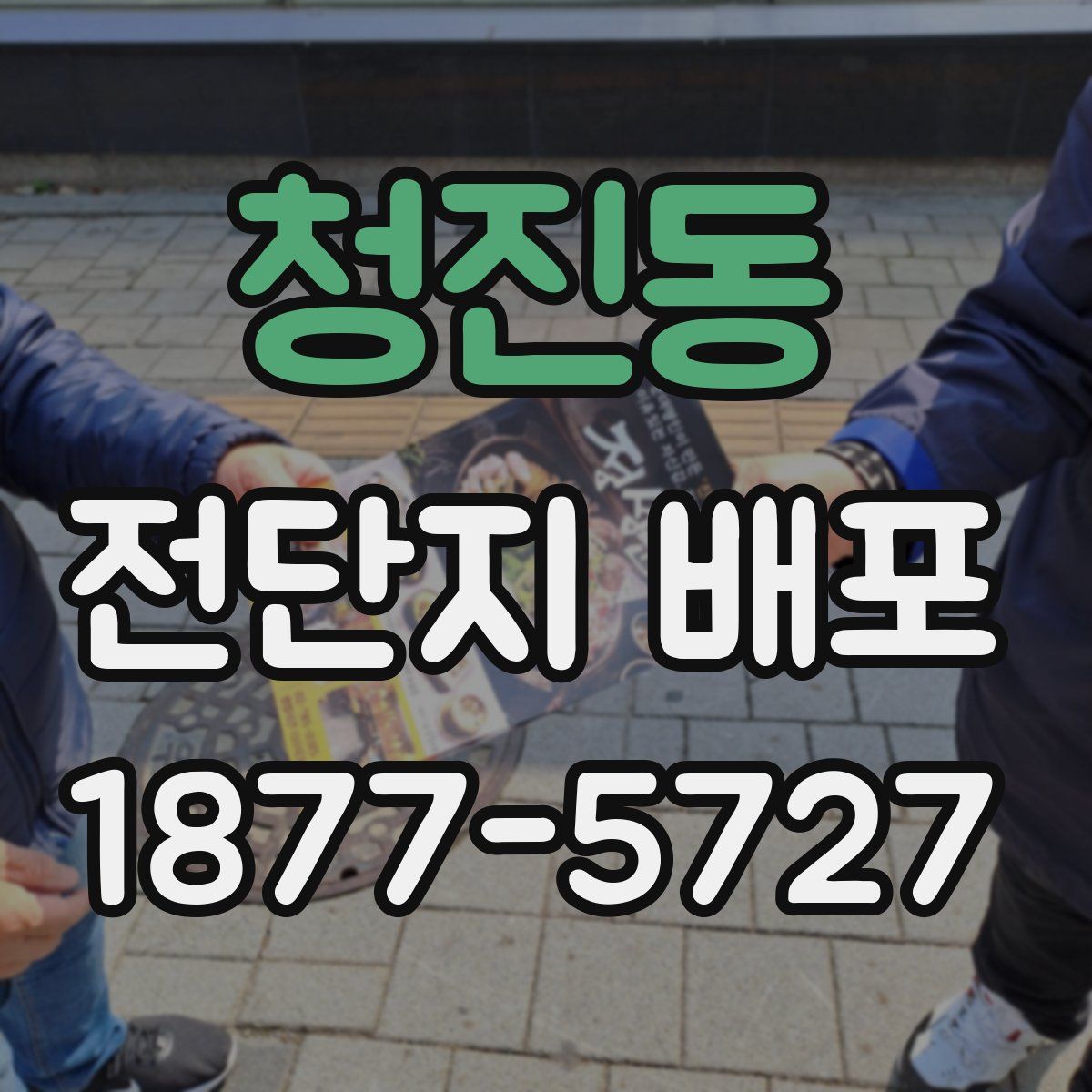 청진동 전단지 배포