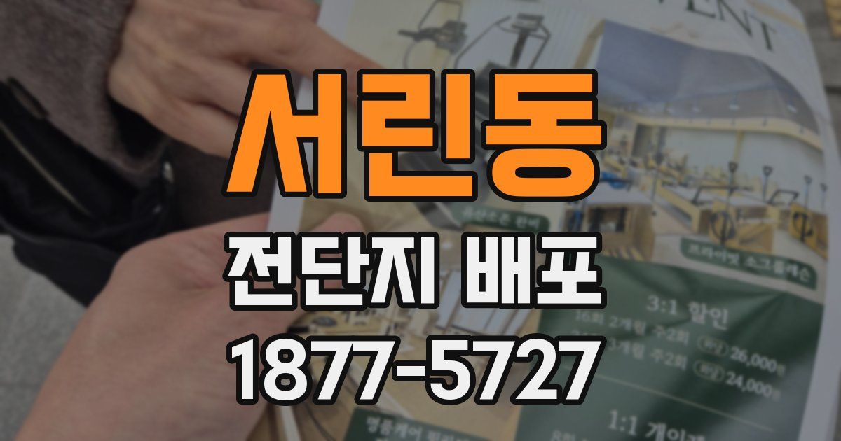 서린동 전단지 배포