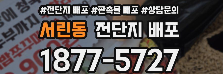 서린동 전단지 배포