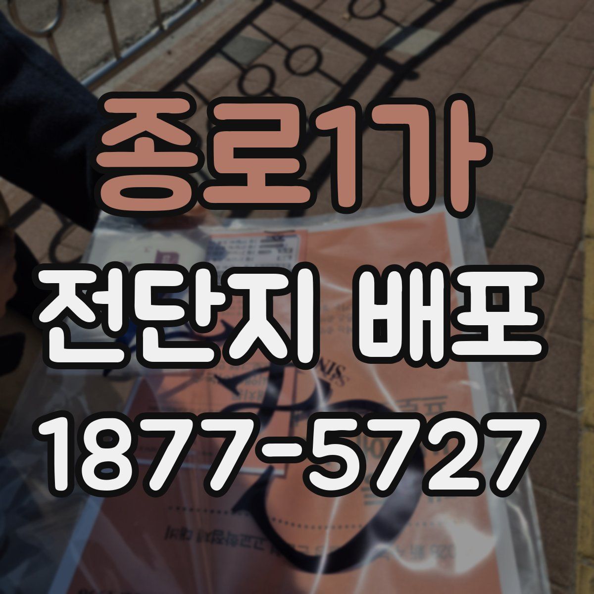 종로1가 전단지 배포