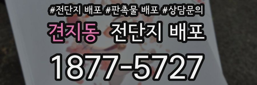 견지동 전단지 배포