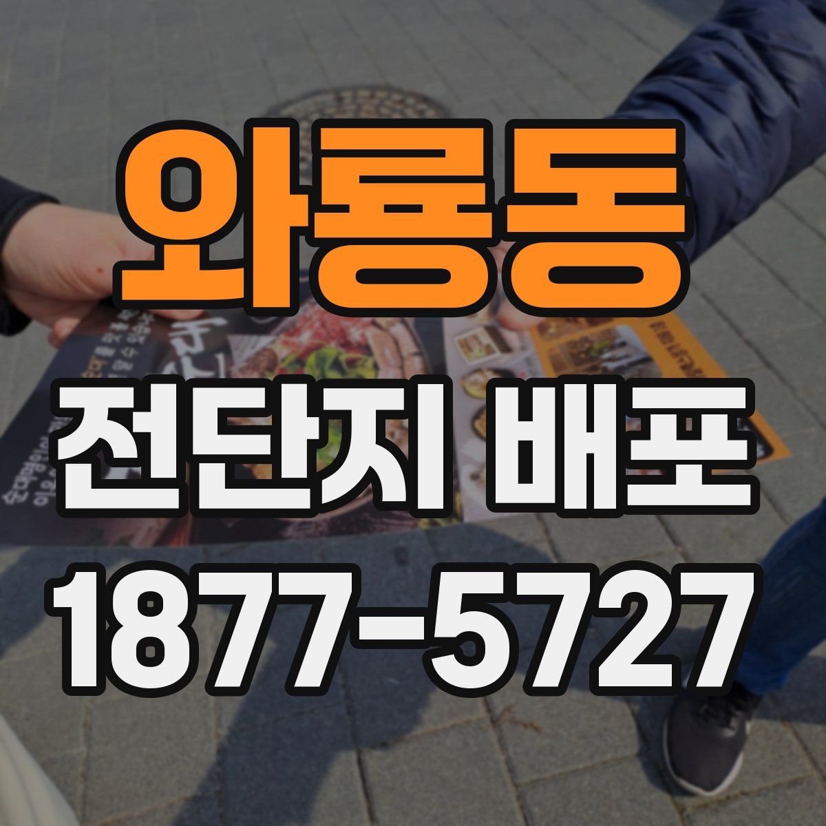 와룡동 전단지 배포