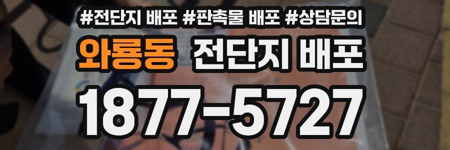 와룡동 전단지 배포