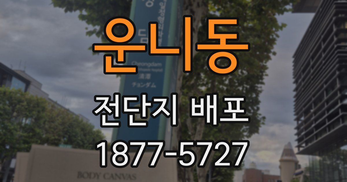 운니동 전단지 배포
