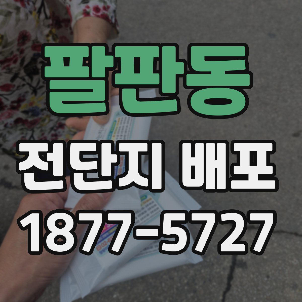 팔판동 전단지 배포
