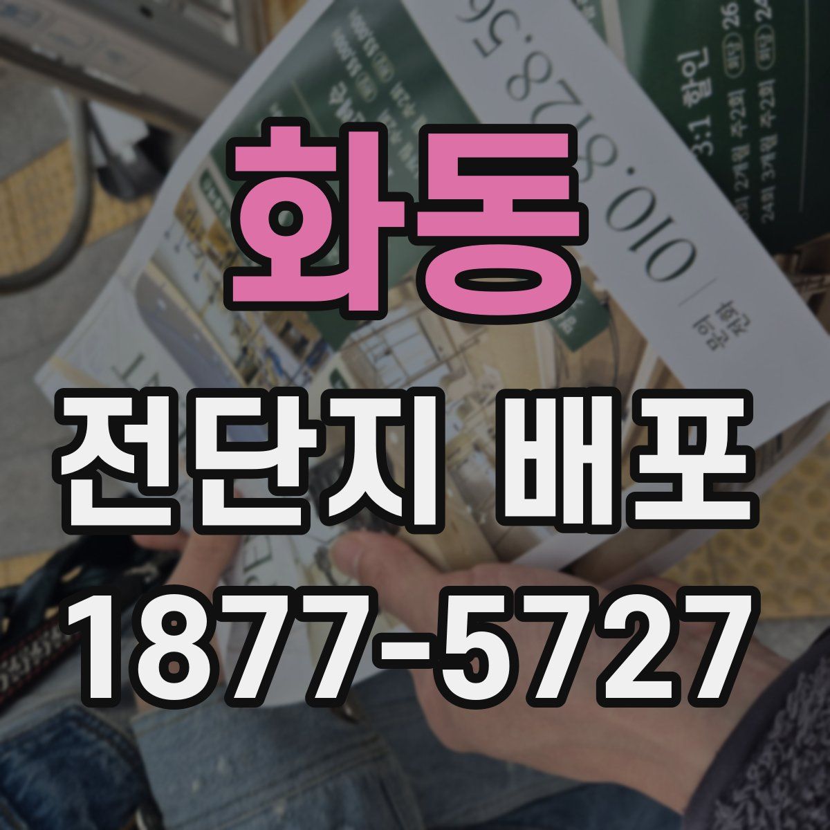 화동 전단지 배포