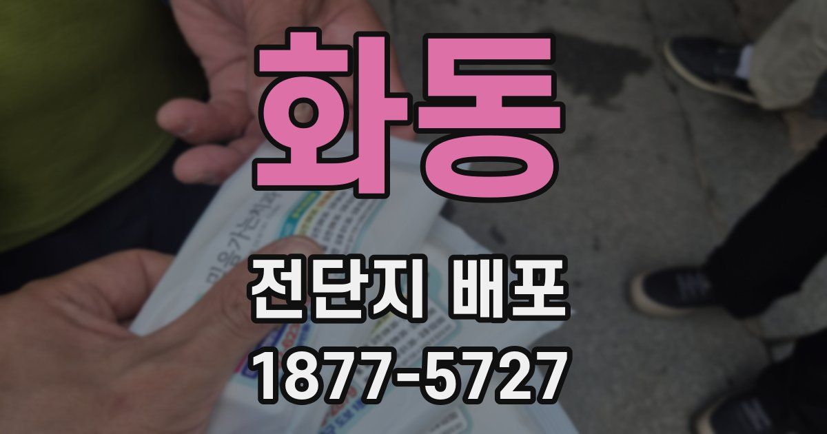 화동 전단지 배포