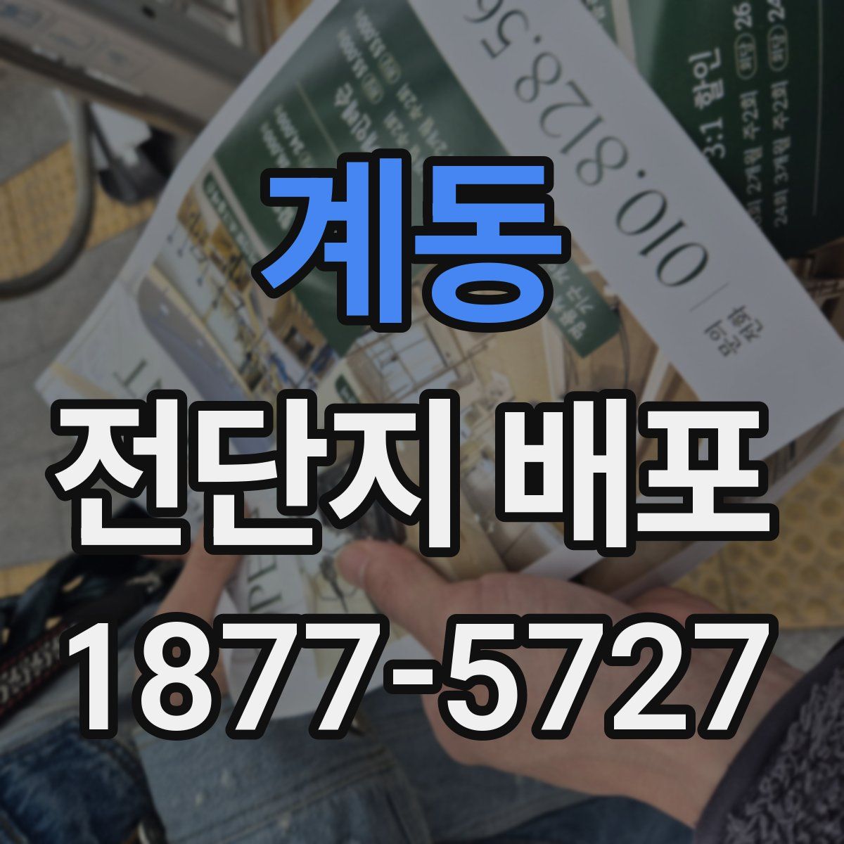 계동 전단지 배포