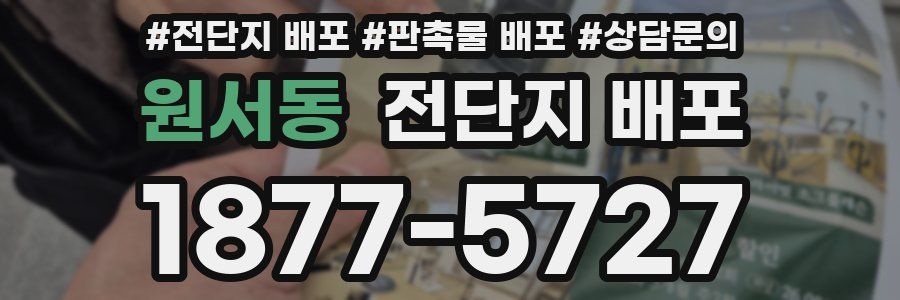 원서동 전단지 배포