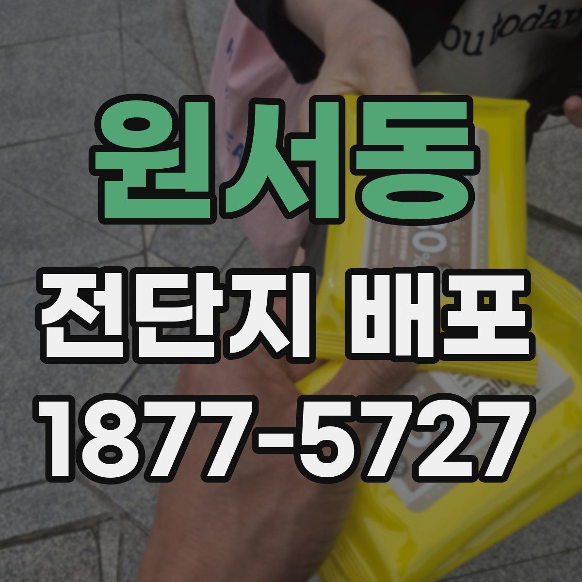원서동 전단지 배포