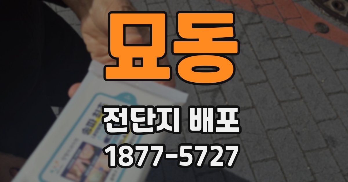 묘동 전단지 배포