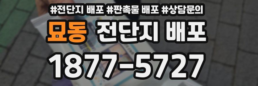 묘동 전단지 배포