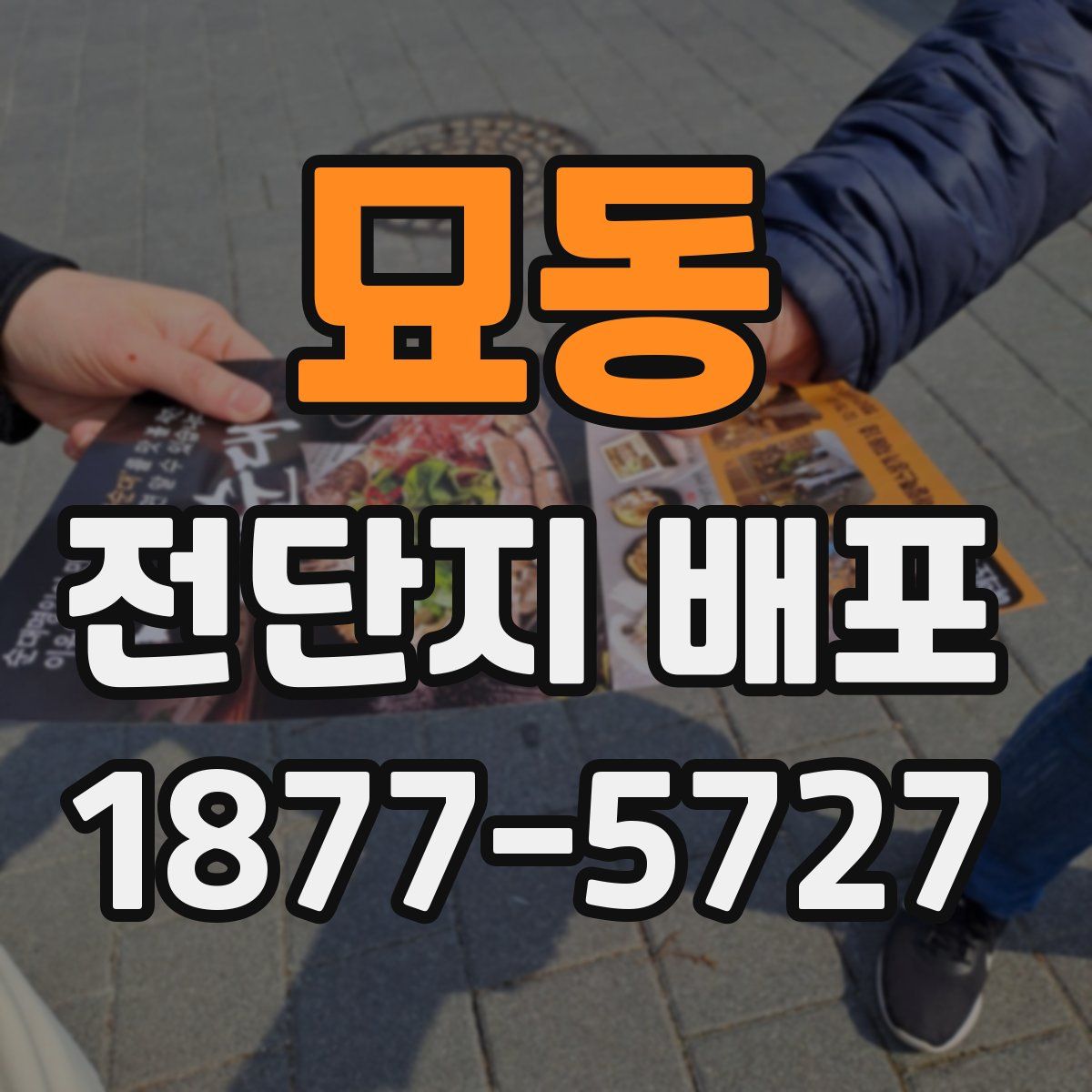 묘동 전단지 배포