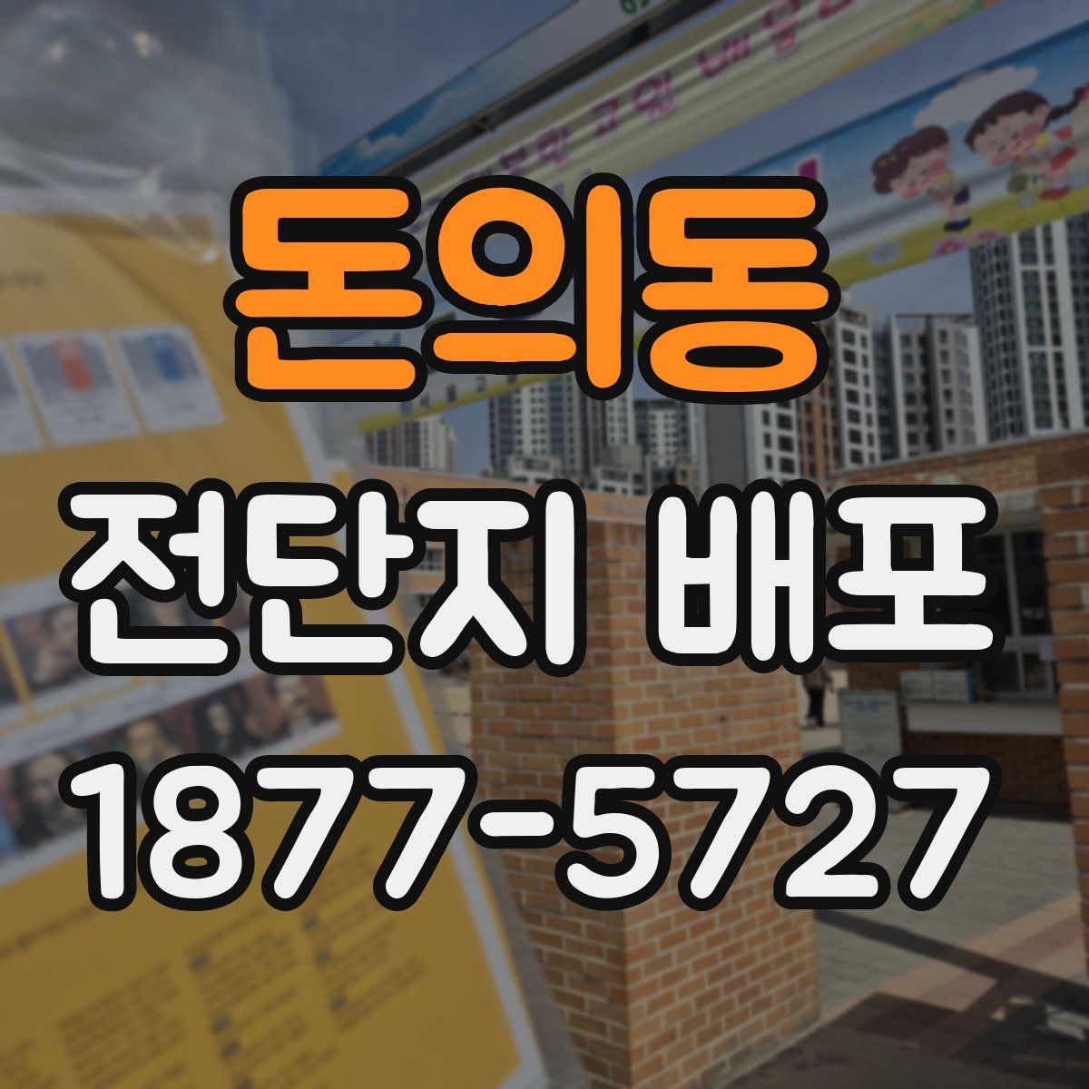 돈의동 전단지 배포