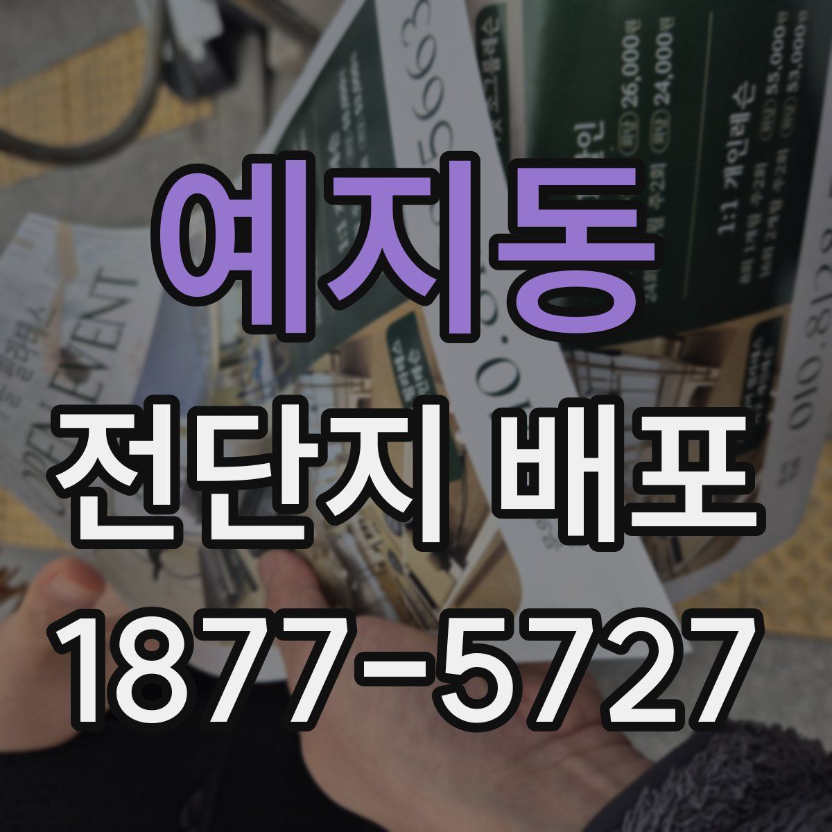 예지동 전단지 배포