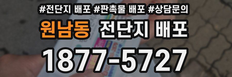 원남동 전단지 배포