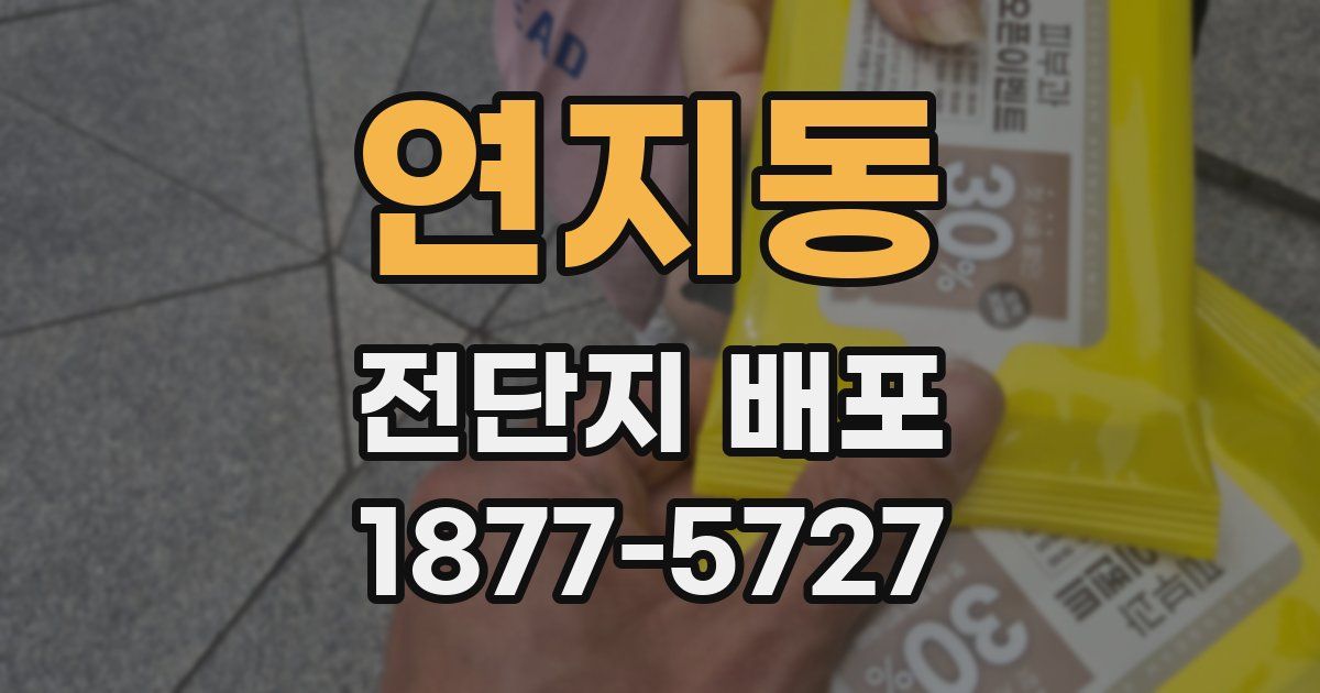 연지동 전단지 배포