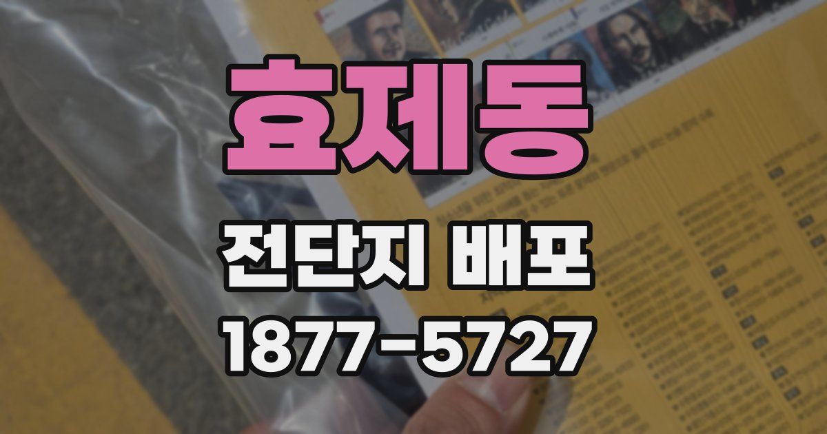 효제동 전단지 배포