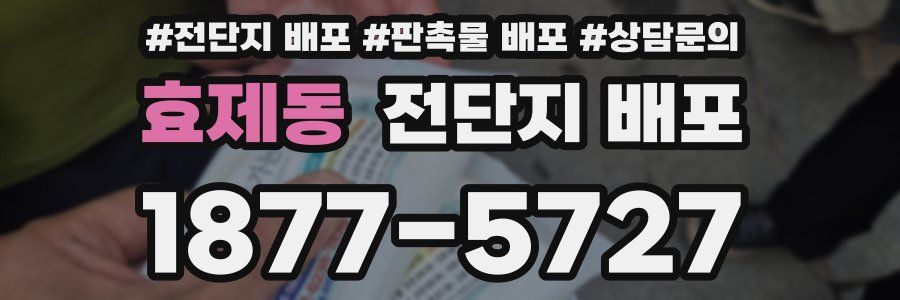 효제동 전단지 배포