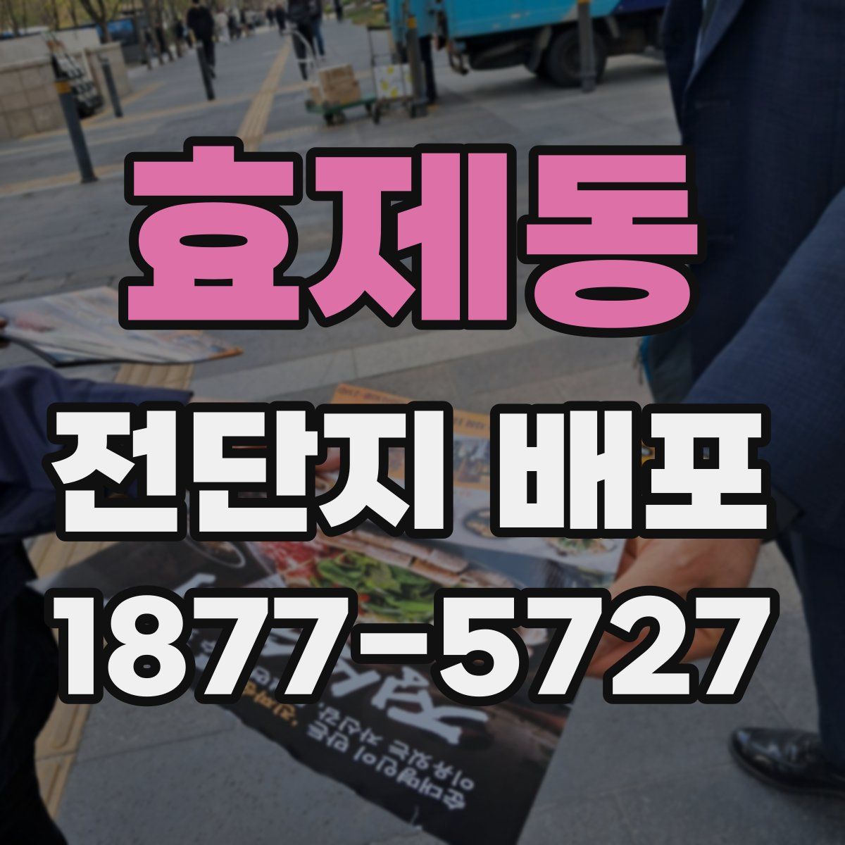 효제동 전단지 배포