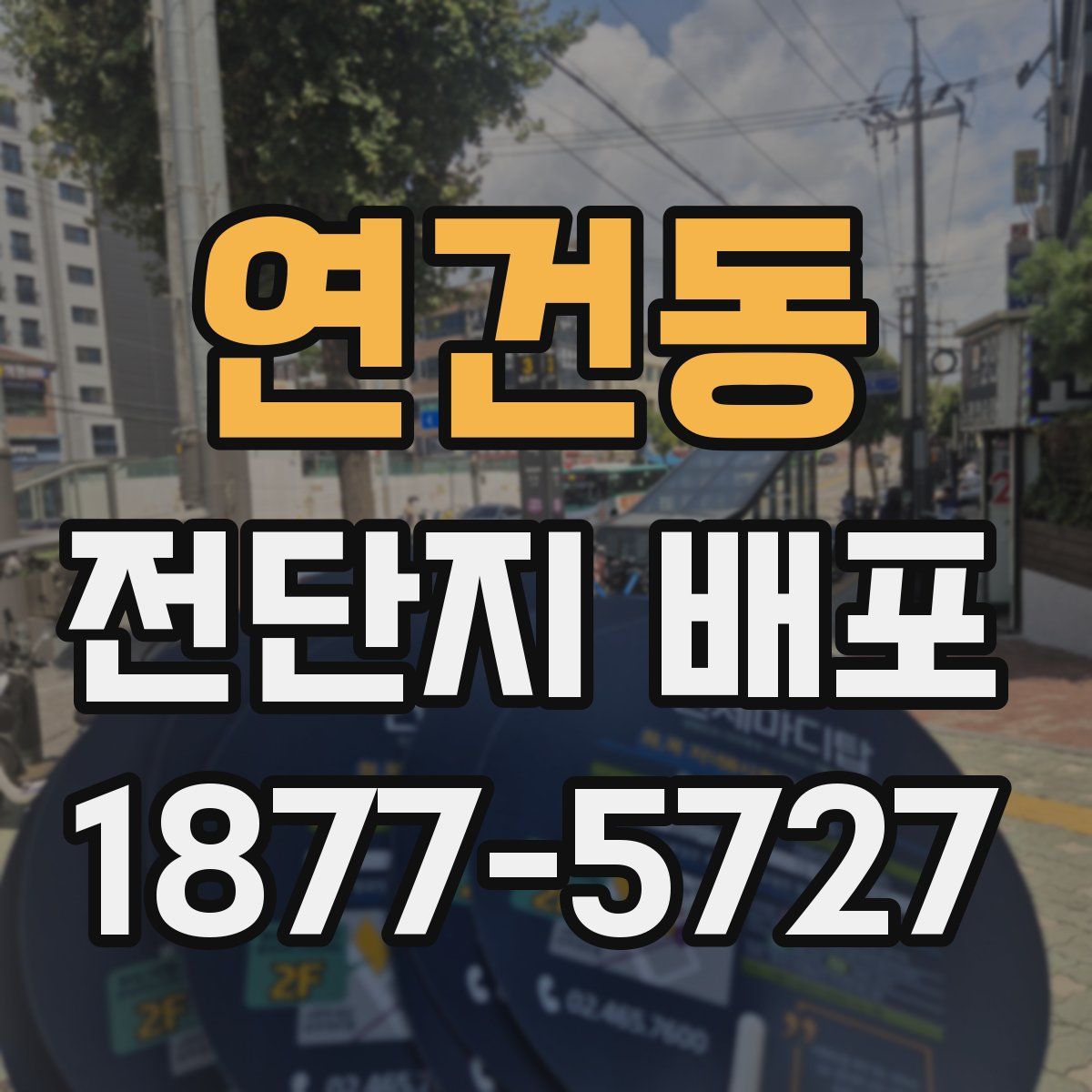 연건동 전단지 배포