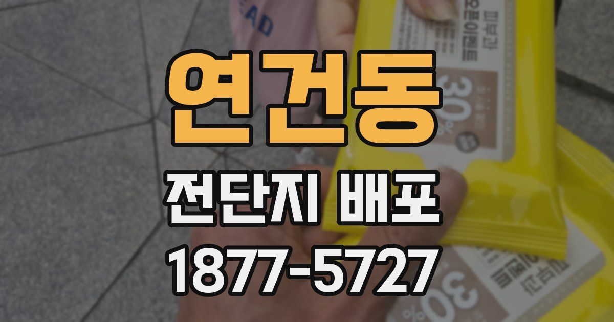연건동 전단지 배포