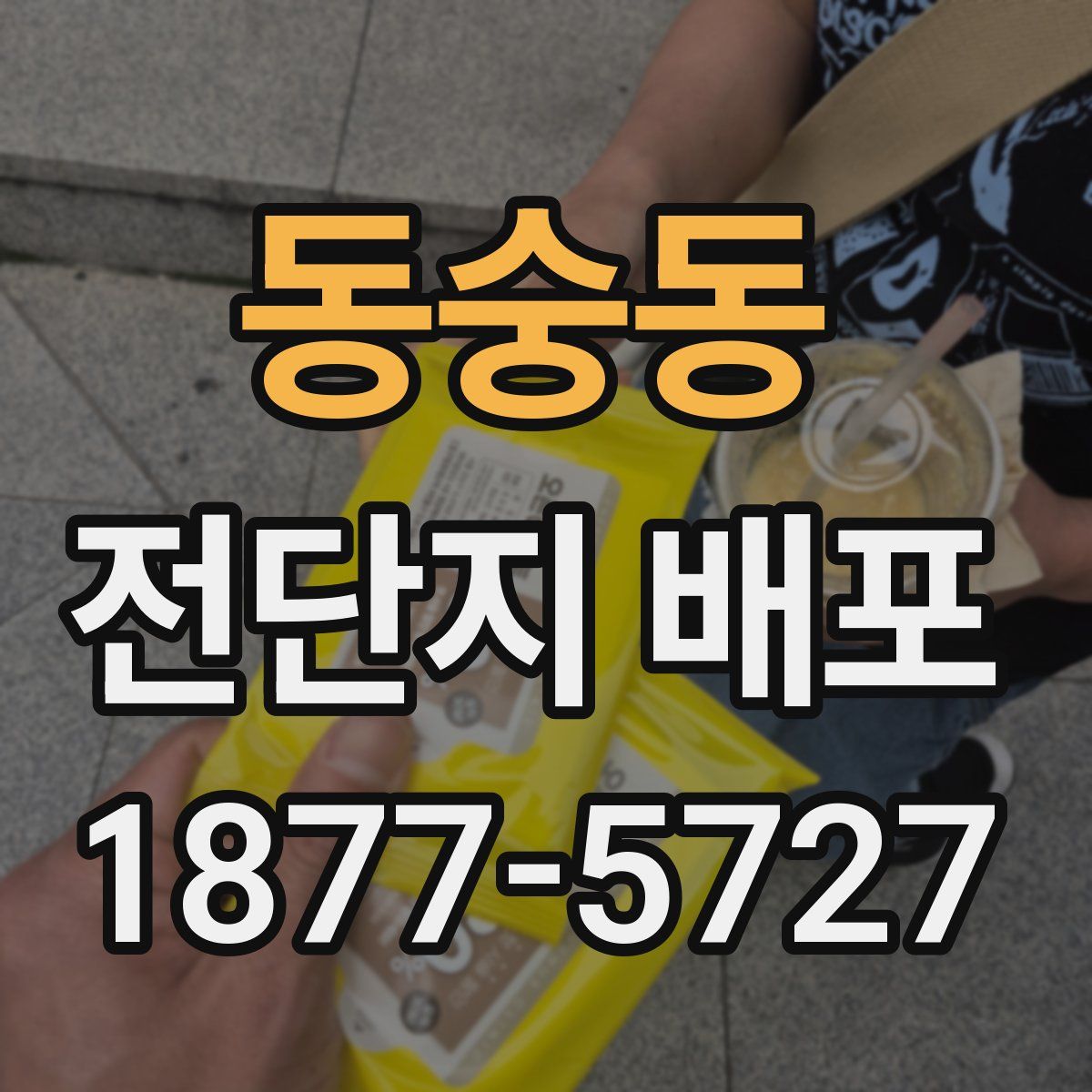 동숭동 전단지 배포