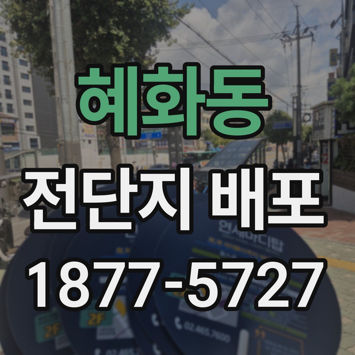 혜화동 전단지 배포