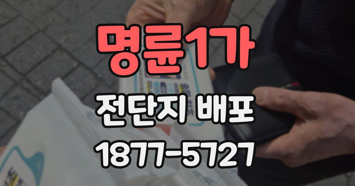 명륜1가 전단지 배포