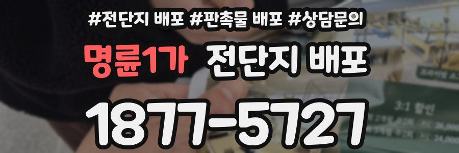 명륜1가 전단지 배포