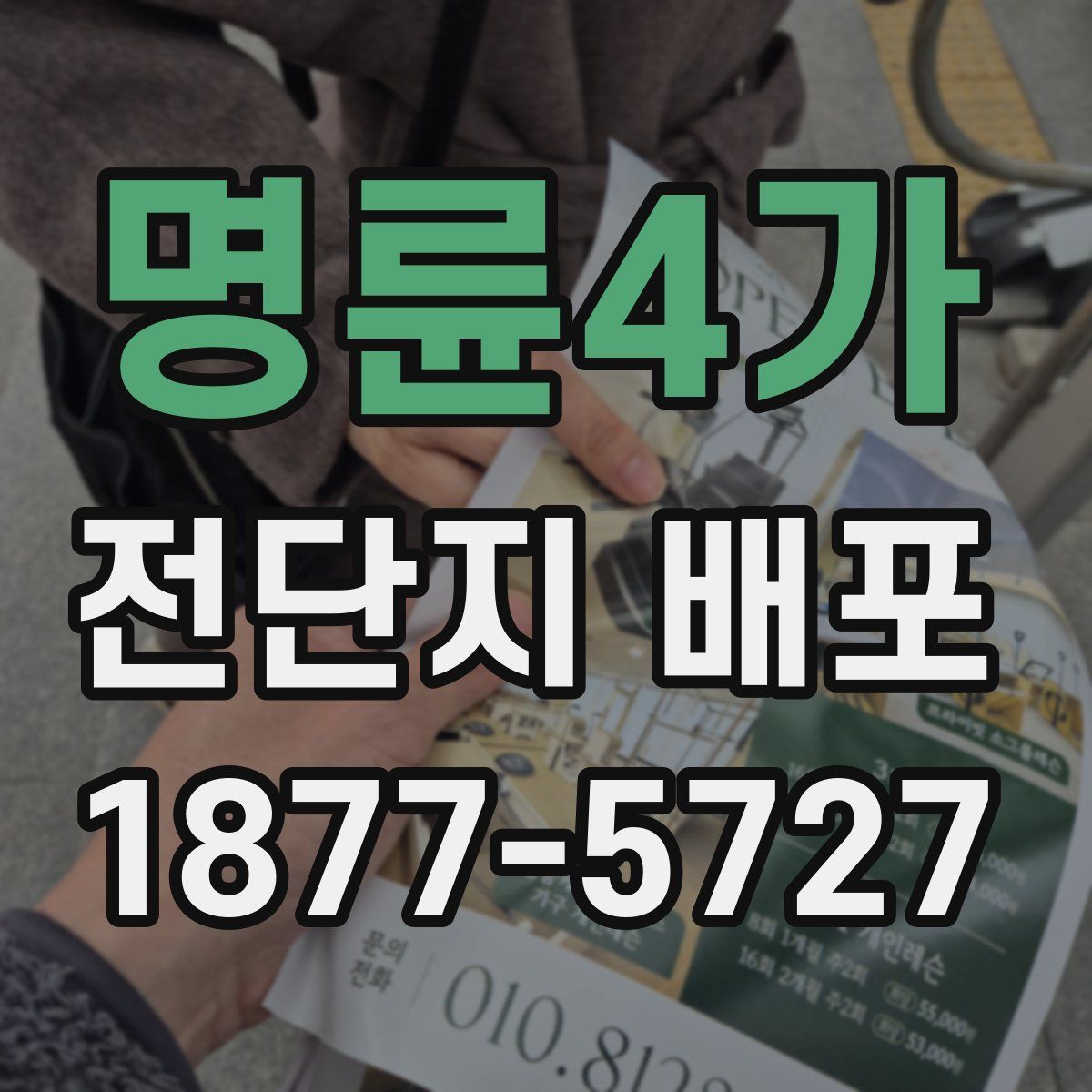 명륜4가 전단지 배포