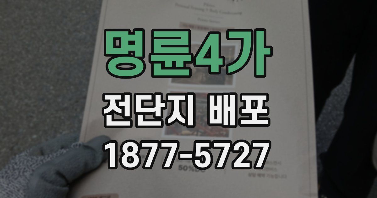 명륜4가 전단지 배포
