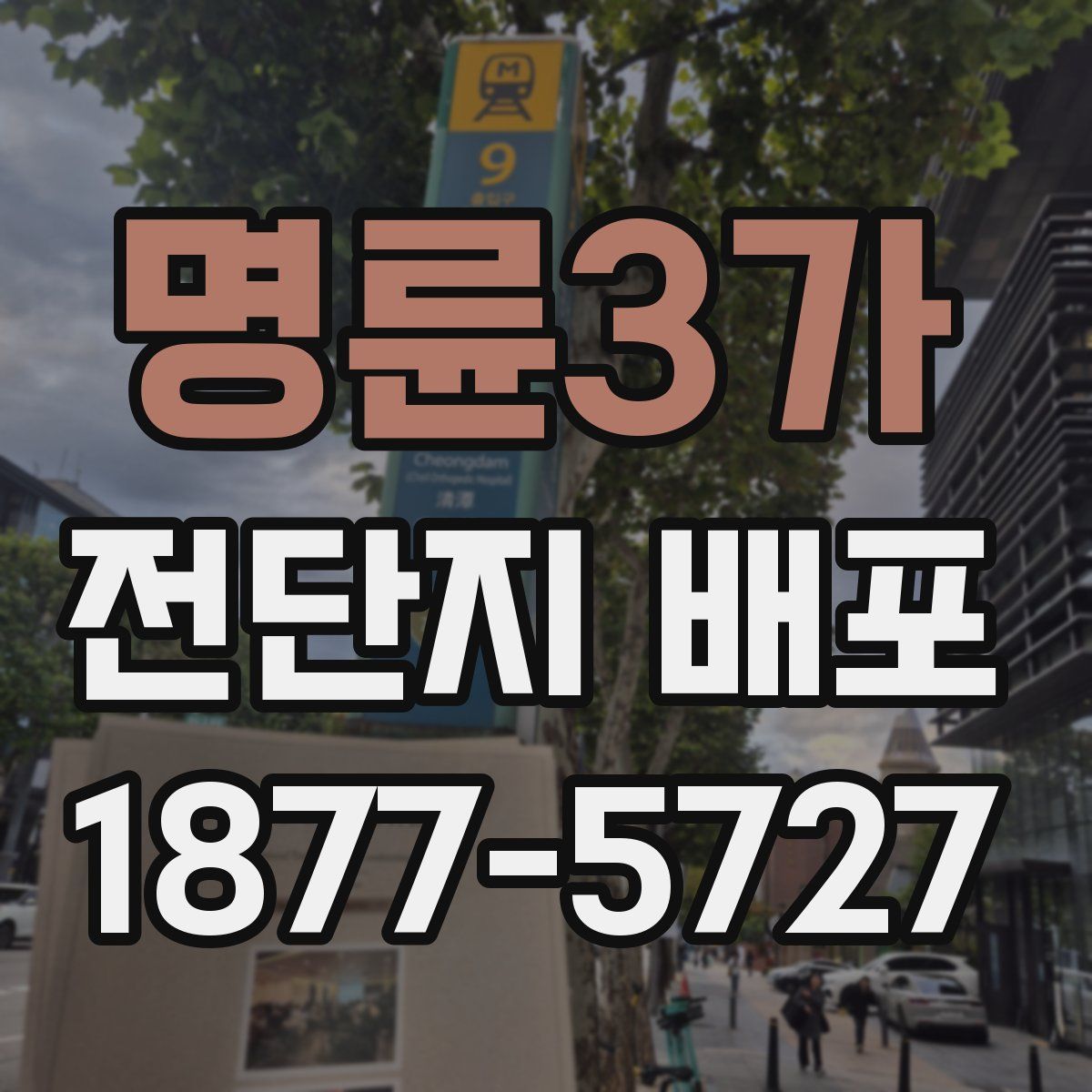 명륜3가 전단지 배포