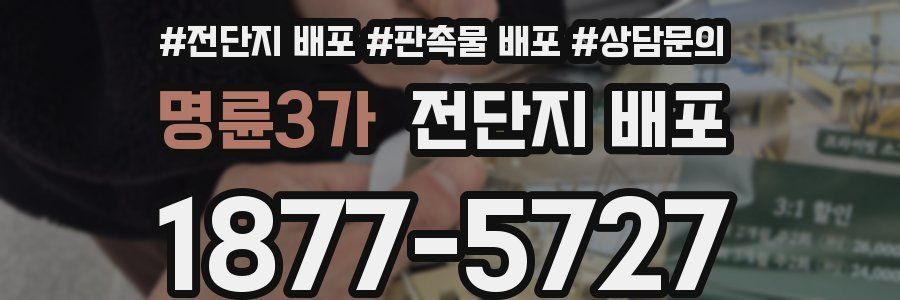 명륜3가 전단지 배포