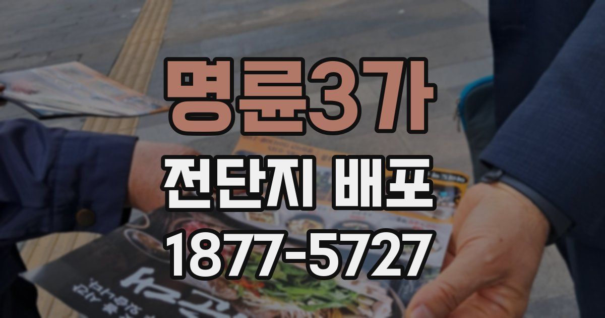 명륜3가 전단지 배포