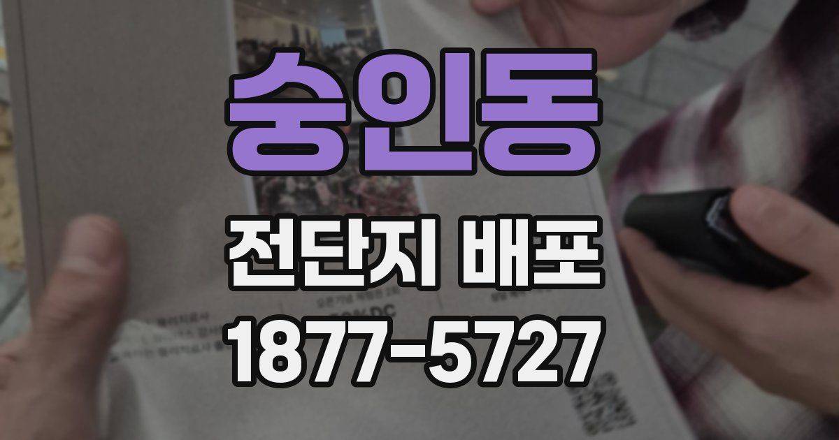 숭인동 전단지 배포